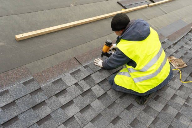 Best Rubber Roofing (EPDM, TPO)  in Blissfield, MI