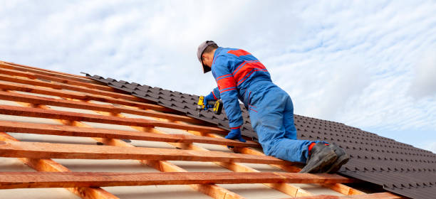 Best Roof Maintenance and Cleaning  in Blissfield, MI