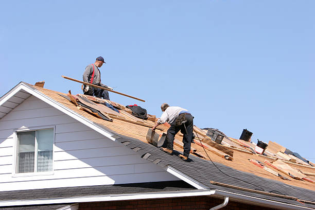 Best Green or Eco-Friendly Roofing Solutions  in Blissfield, MI