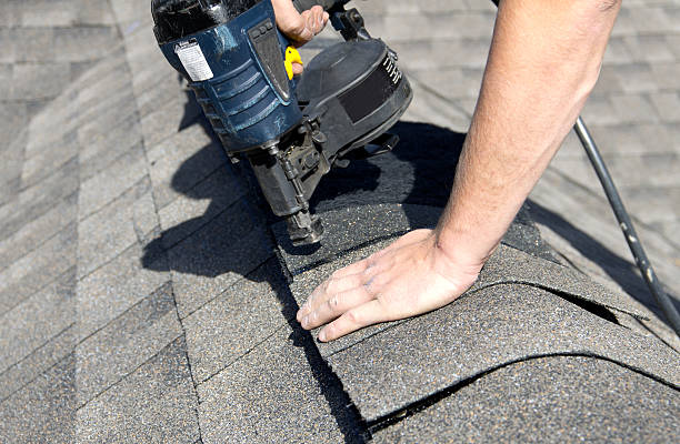 Best Sheet Metal Roofing  in Blissfield, MI