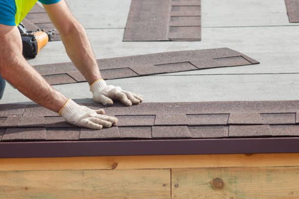 Best Roof Replacement  in Blissfield, MI